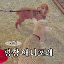 모나용평지점