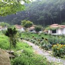 새파랑관광펜션 | [강원도 화천군] 물안골스머프펜션