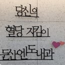 서울엔도내과의원 네이버블로그