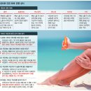 &#39;신형 더올 뉴 싼타페 V-TECH Premium I-COOL SP 시공&#39; / 자동차썬팅 추천 브이텍 프리미엄 SP