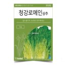 씨앗