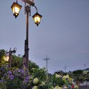 솔밭에덴하우스 이미지