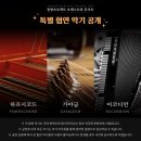 8월 31일 동방프로젝트 오케스트라 콘서트 후기