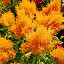 농업기술센터(농업전시관) 이미지