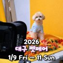 다듬다 펫미용 | 2026 대구 펫페어 무료입장 기본정보 첫날 오픈런 후기 현장이벤트
