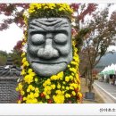 영암산야초