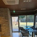 강아지테마파크 이미지