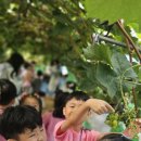 이레농장2 이미지