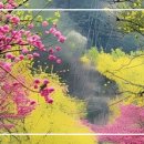 향수(鄕愁) / 靑山 손병흥 이미지