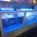 물만난오징어 이미지