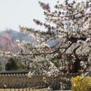 미파솔 - 강남구 도산대로 451 | 미파솔