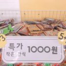 문산 동물병원 이미지