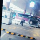 정왕초등학교 | 4회 정왕초등학교 김차명선생님