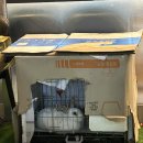 딩타이훠궈 이미지