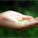 철우목장 이미지