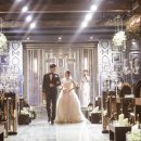 터틀하우스 이미지