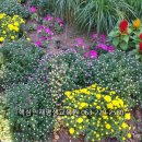 방과후지도사반 이미지