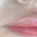 그루밍:담 이미지