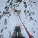 선산동물병원 이미지