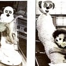 중부대학교 교육대학원 이미지