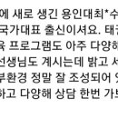 강한선인태권도장 이미지