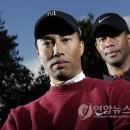 (주)모바일타이거