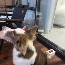 씨유평창미탄점 이미지