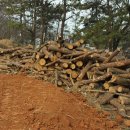 용기공원 이미지