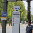 석호공원 (성안고사거리) 이미지