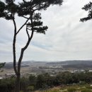 장지공원 화장실 네이버블로그