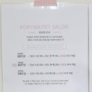 뽀얌 | 대구 북구 강아지미용 뽀얌 솔직후기