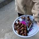 홀리데이캠프캠핑장 이미지