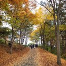 ****반성수목원-작당산(249M)-보잠산(453M)****23년 11월22일(수)07시40분(시청)-08시(운동장1문) 이미지