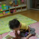 원찬농장 Daum카페