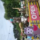 주주농장 | 대관령 아이와 함께 가볼만한 곳 주주파크 체험 후기