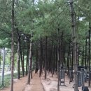 8월15일 경춘선 숲길6km 이미지
