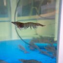 남성회관빌딩 이미지