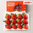 대지농수산 | 청광농수산 산청 프리미엄 생딸기 겨울 제철 후기
