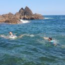 비화항B 이미지