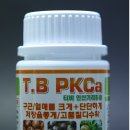 씨에이에이 네이버블로그