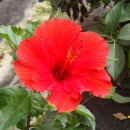 금원농장 이미지