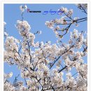 창원대로 이미지