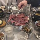 돼지꿈꾸다