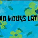 포테이토 독 이미지