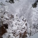 백두천지 이미지