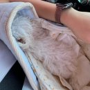 청라종합동물병원 이미지