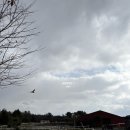 남원읍-3 | 자연 속을 달리다 ! 제주 액티비티 남원읍 가볼만한곳 제주소랑ATV ATV둘레코스 후기