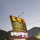 순천만 메추리 이미지