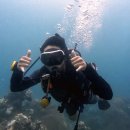 AOW(아오와) 이미지