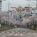 옥곡동우체국 이미지